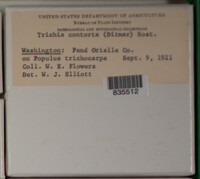 Image Associated With the Occurence